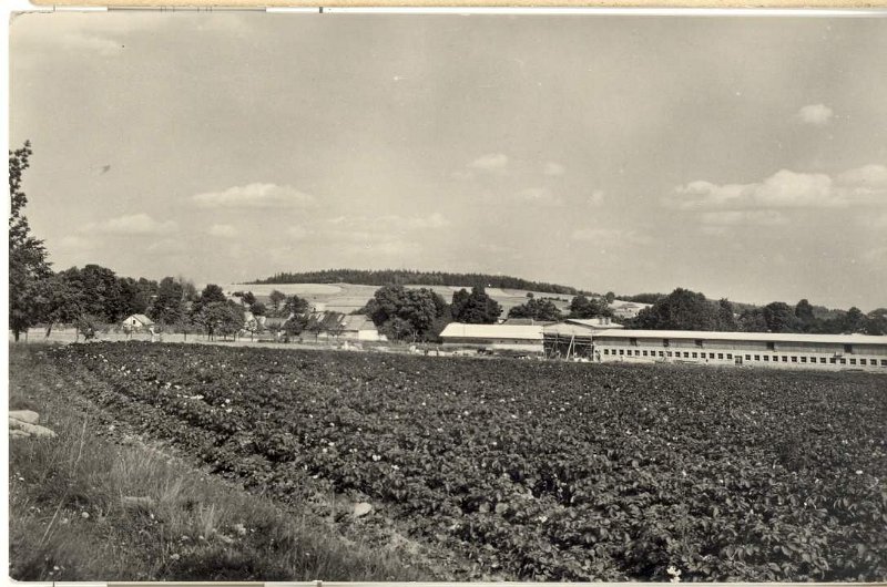 Kopie_-_skenovat0019